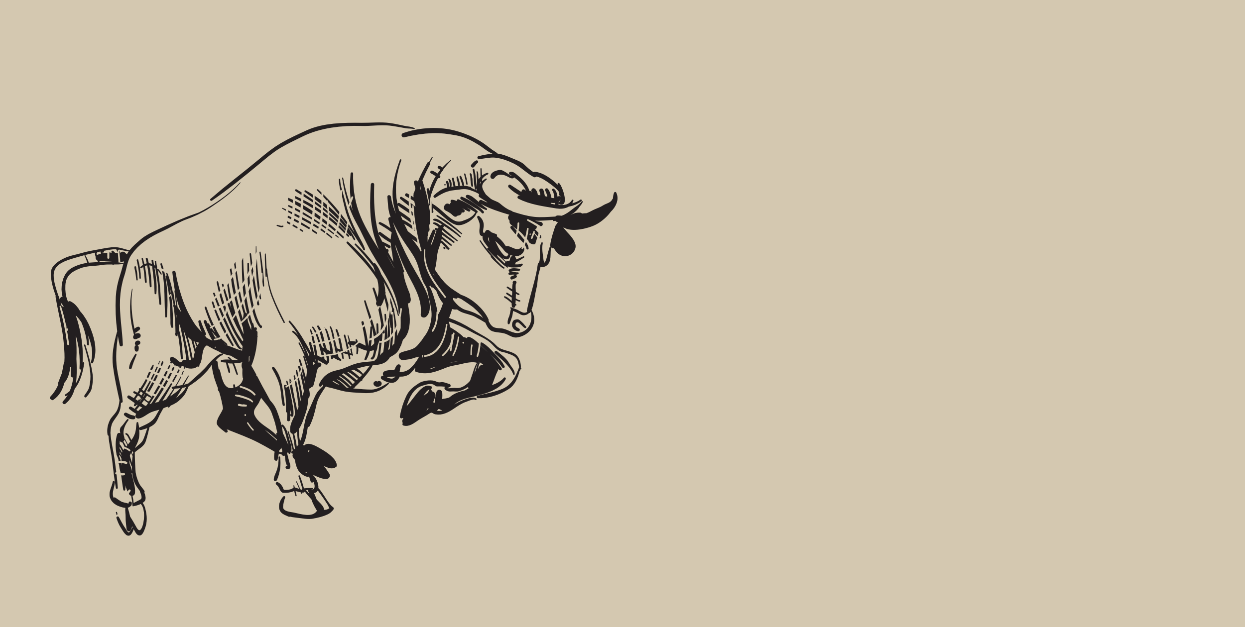 bull
